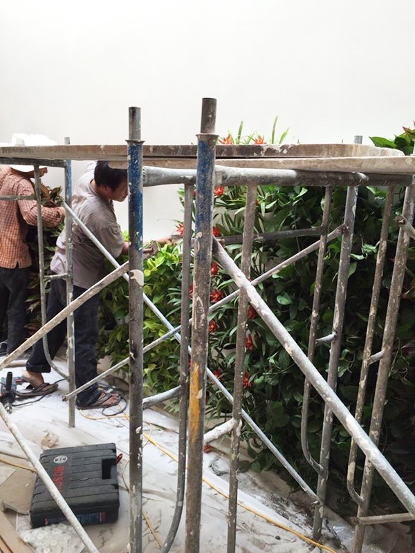 giai-phap-vuon-tuong-dung-minigarden-hu-vuc-gieng-troi-nha-anh-chung-quang-ngai-4