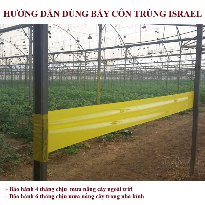 bay-bo-tri-keo-vang-con-trung-israel 0